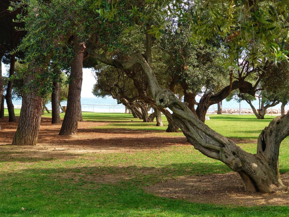 Primera Linia De Mar, Zona Tranquila Appartamento Cambrils Esterno foto